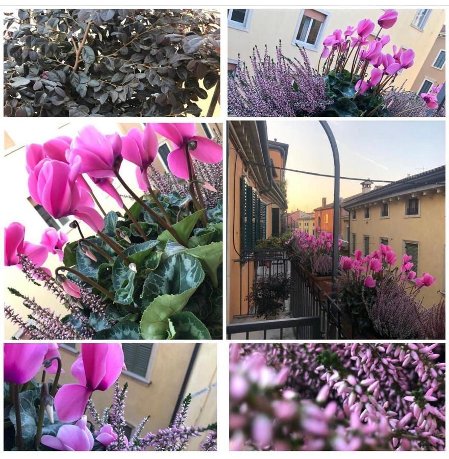 Bed & Breakfast Veronantica